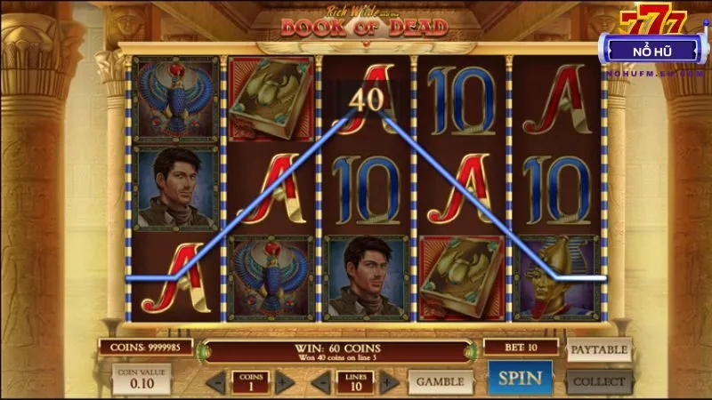 Book of Dead đồ họa sống động, RTP cao, free spin bonus hấp dẫn